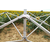 Paviljon za zabave 4x8m - plus 3 stene - Bela
