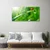 tulup.si Slika na platnu Grass pikapolonica narava 100x50 cm