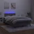 Vidaxl Box spring postelja z vzmetnico LED temno siva 120x200 cm žamet