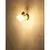 Globo 54317-1 - Zidno spot svetlo PLANTA 1xE14/40W/230V