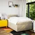 Vidaxl Box spring postelja z vzmetnico krem 120x190 cm blago