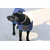 Kentucky Dogwear Hundemantel navy - SM