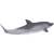 Moj delfin