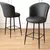 Hanah Home Set barskih stolica Uras, 2 komada, Antracit-crni