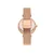 Ročna ura Ted Baker Darbey BKPDAF204 Rose Gold/Rose Gold