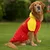 Paws & Whiskers Odelo za pse Redballsweat, Crveno