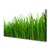 tulup.si Slika na platnu Grass nature rastlin 100x50 cm