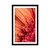 Plakat s paspartujem oranžna gerbera s kapljicami vode - 40x60 black