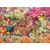 RAVENSBURGER Book Club Puzzle 1000 kosov