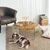 Hanah Home Klub sto Hexagon S304 80x35x70cm Hrast