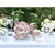 Creatable KAVNI SERVIS Adelaide Rot