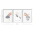 Wallity slika 3p3752softct-017, 3 dijela, 38 x 53 cm