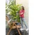 Karcher Perač visokog pritiska K 2 Classic 1.4kW, 74bara