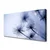 tulup.si Slika na platnu Dandelion rastlin 140x70 cm