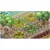 NAMCO BANDAI Switch igrica Doraemon Story of Seasons: Friends of the Great Kingdom