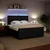 Vidaxl Box spring postelja z vzmetnico temno zelena 200x200 cm žamet