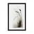 Plakat minimalistična posušena trava - 30x45 no frame