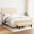 vidaXL vidaXL Box spring postelja z vzmetnico krem 140x200 cm blago, (20897621)
