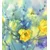 Tapeta akvarelni rumeni tulipani - 245x270