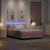 vidaXL LED Box Spring Postelja z LED trakami Roza 140 x 200 cm Žamet
