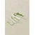 Pears & Share Lip Scrub 10 ML