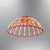 OPVIQ 3229 1 06 Red luster