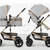 Kikka Boo Kolica za bebe 2u1 Amaia premium KKB11245, 22kg, Svetlosiva