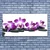 tulup.si Slika na platnu Orchid cvet spa 125x50 cm