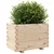 Vrtna sadilica 70x40x49,5 cm od masivne borovine