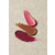 Peptalk Flower Lip Oil Refill 3.5 G - YLANG YLANG
