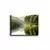 Wallity Slika na platnu 70x100cm