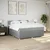 Vidaxl Box spring postelja z vzmetnico svetlo siva 200x200 cm blago