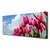 tulup.si Slika na platnu Tulip na wall 125x50 cm