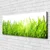 tulup.si Slika na platnu Grass nature rastlin 120x60 cm