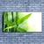 tulup.si Slika na steklu Bamboo leaf narava rastlin 140x70 cm 2 obešalnika