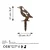 Atelier Del Sofa Dekorativna figura Bird -A 03, 37x23 cm, 1.5 mm