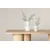 Venture Design Jedilna miza Olivia 100x210 cm naravna