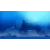 Neva (Playstation 5)