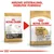 Royal Canin Suva hrana za pse Jack Russel Terier Adult 1.5kg.