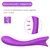 Paloqueth G-Spot Vibrator Purple