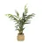 MID.YOU Umetna Rastlina Chamaedorea