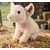 Plišasti prašiček 28 cm ECO-FRIENDLY PLUSH WORLD
