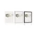 Plakat boho listki v krogih - 60x90 no frame