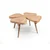 Hanah Home klub sto Inci 100, 100 cm, hrast