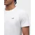 HOLLISTER Majica  bela