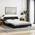 Krevet s madracem Dover crni 160x200 cm od tkanine