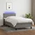 Vidaxl Box spring postelja z vzmetnico LED temno siva 100x200 cm blago