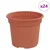 Okrugla saksija za cveće 24 pcs Crvena cigla O 12,5 x 10 cm