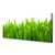 tulup.si Slika na platnu Grass nature rastlin 120x60 cm