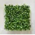Lilijum Panel od vestackog zelenila za zeleni zid 50*50cm 569025